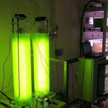 Microalgae Laboratory _Fotobioreattori